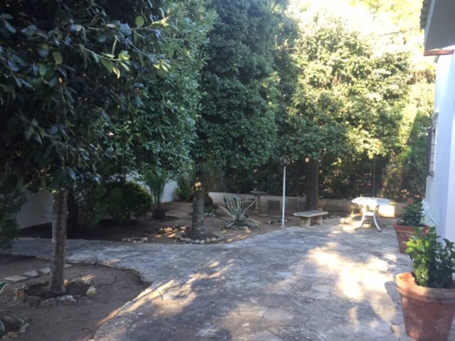 Front Garden view.