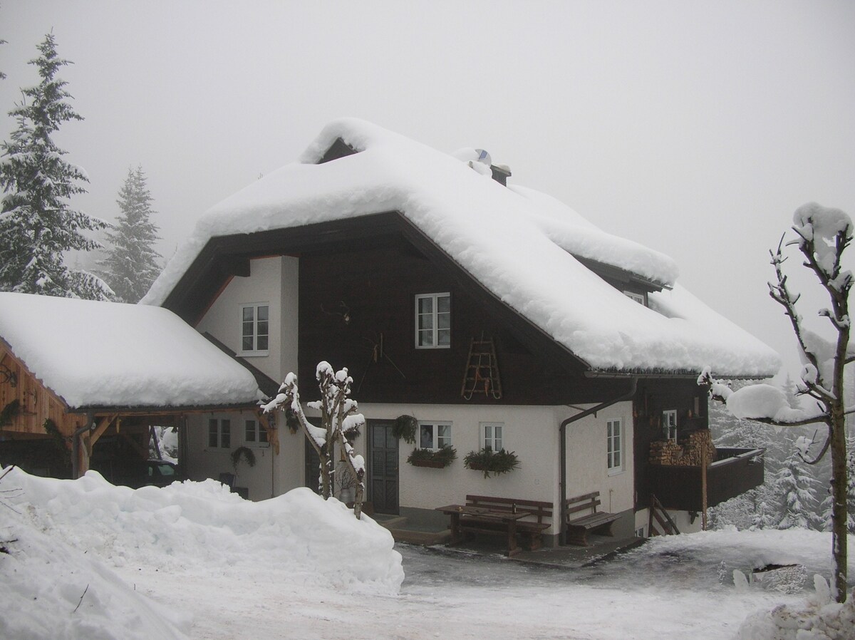 A charming two-story alpine house is surrounded by a snow-covered landscape. The building features a wooden exterior and a sloped roof, showcasing decorative window boxes. A set of benches and a ladder lean against the side, with pines visible in the background.