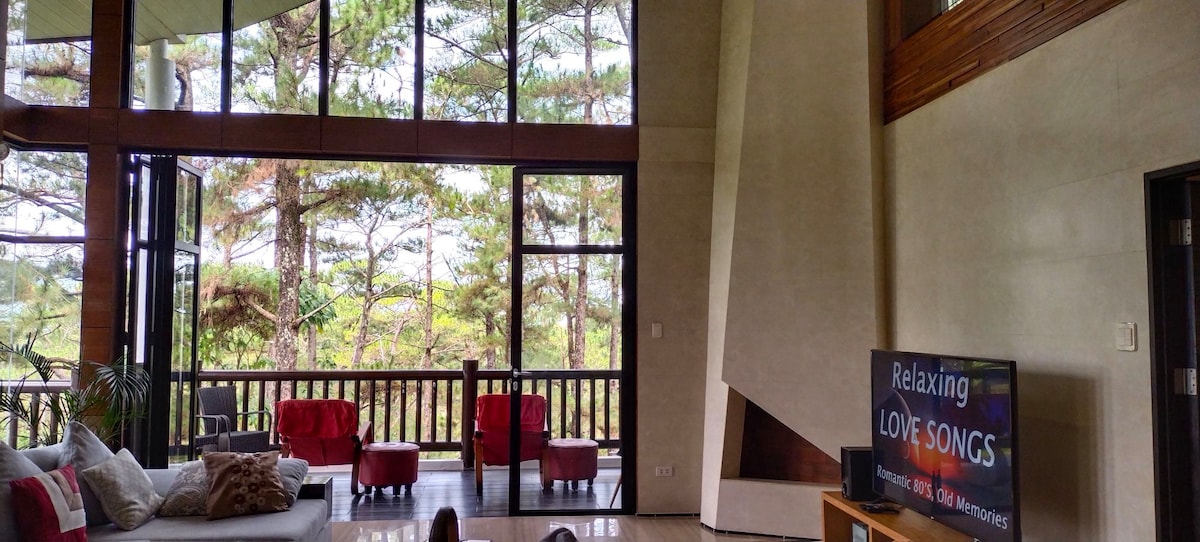 Large windows frame a view of lush trees, allowing natural light to fill the modern living space. Comfortable seating is arranged around a television, with a minimalist fireplace featured nearby. The open layout provides a sense of spaciousness and connection to the outdoor surroundings.