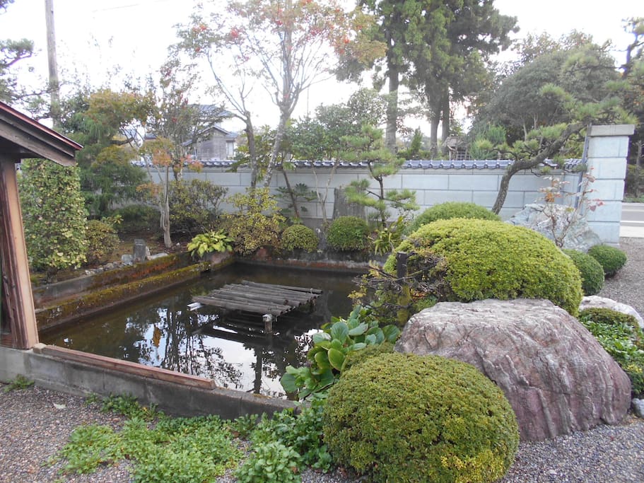 池
Pond + carp