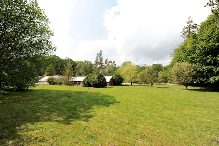 Cottage, deep in the New Forest - up to 44 people