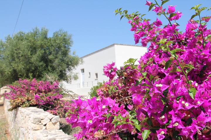 “Il NIDO” SEA VIEW VILLA gallery image 4