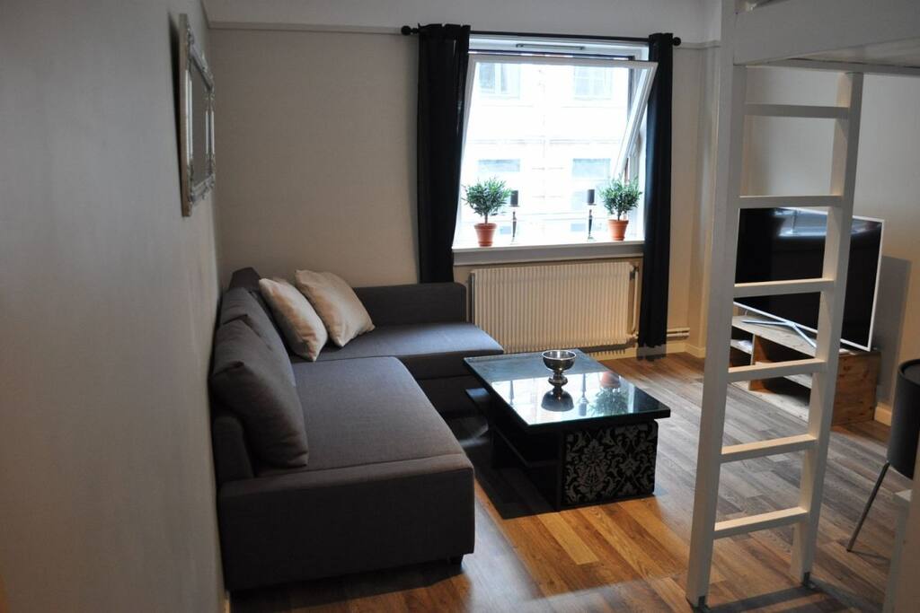 This is the sofa where my guests sleep