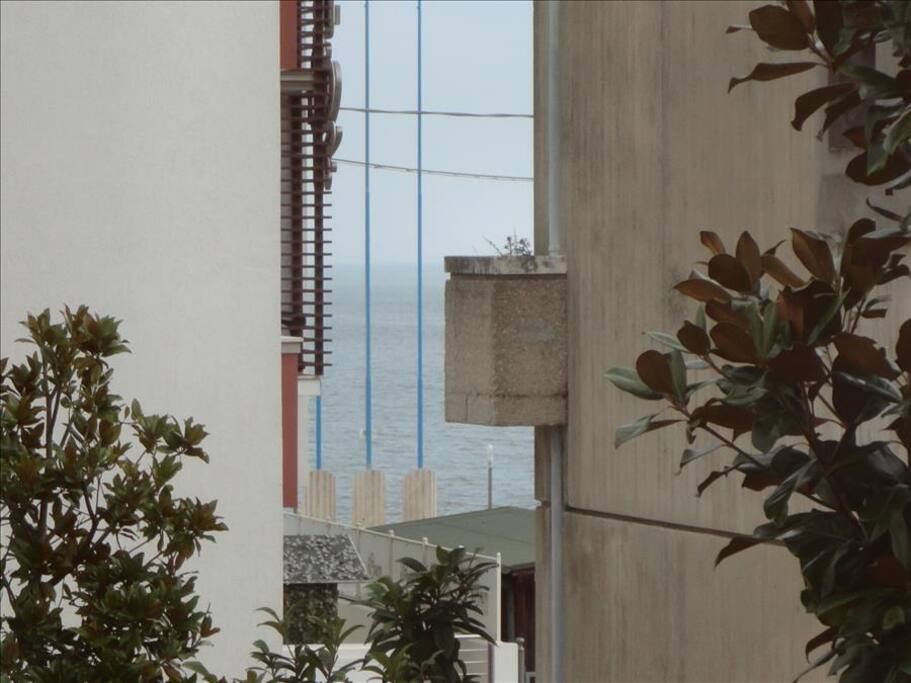 VIA PESARO