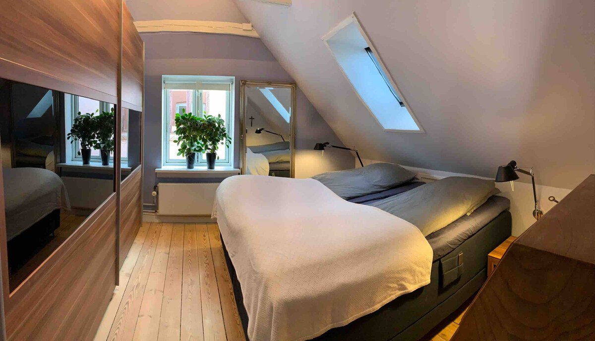 חדר שינה עם מיטת מוגבהת