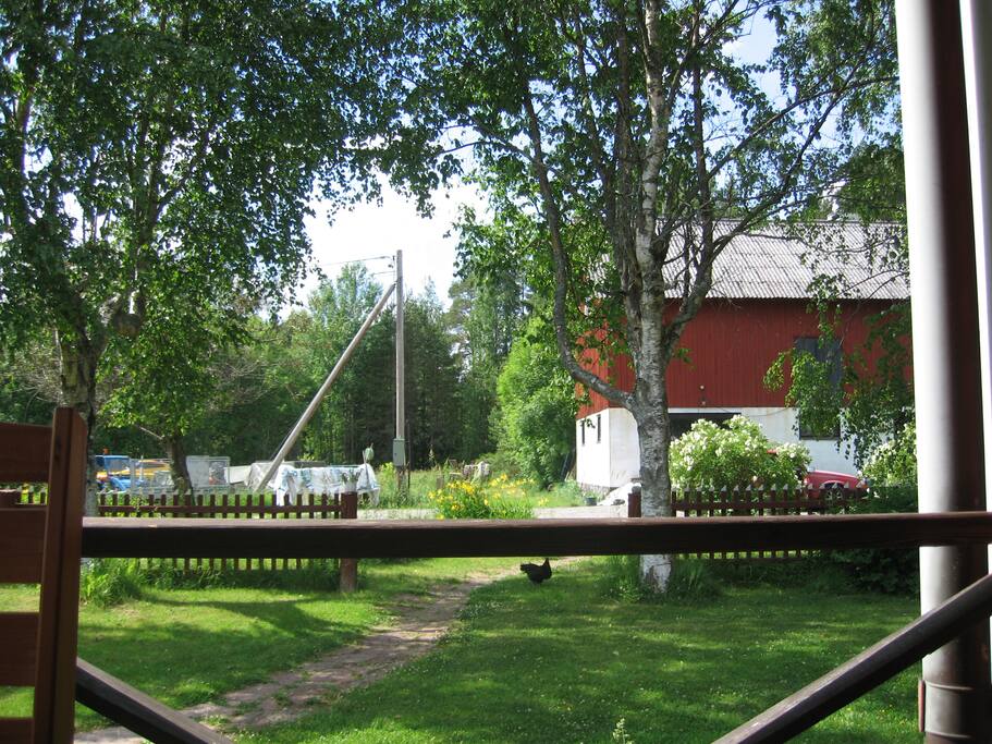 Utsikt från altanen.