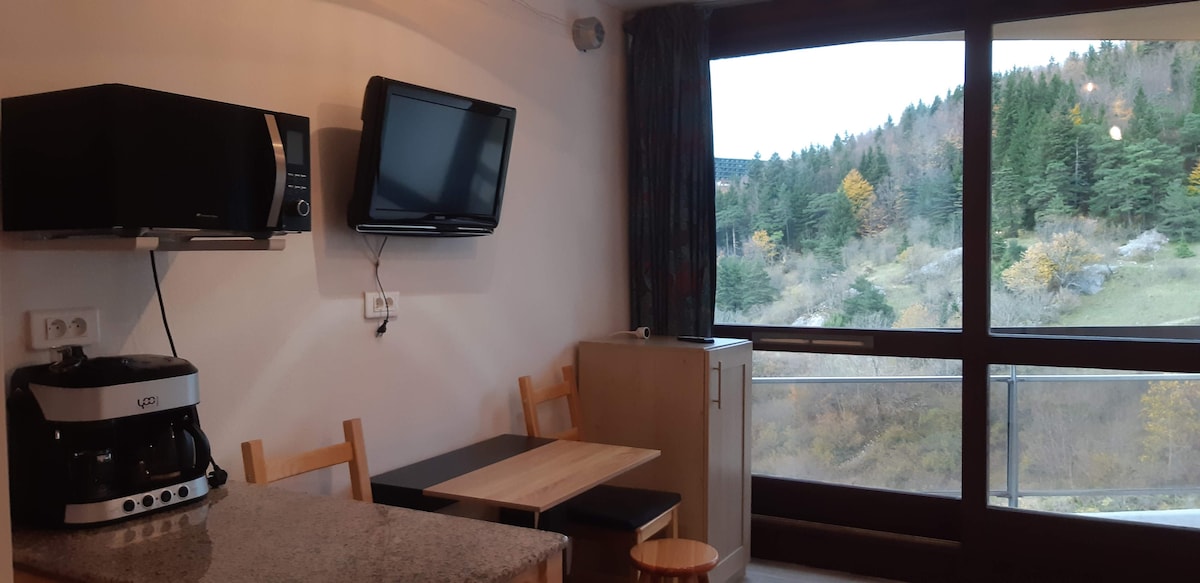A well-equipped kitchenette showcases a microwave and coffee maker, complemented by a small dining table and two chairs. A flat-screen television is mounted on the wall. Large windows offer a view of the surrounding trees and landscape.