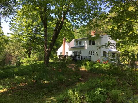 Beautiful Woodstock Home-Perfect for entertaining