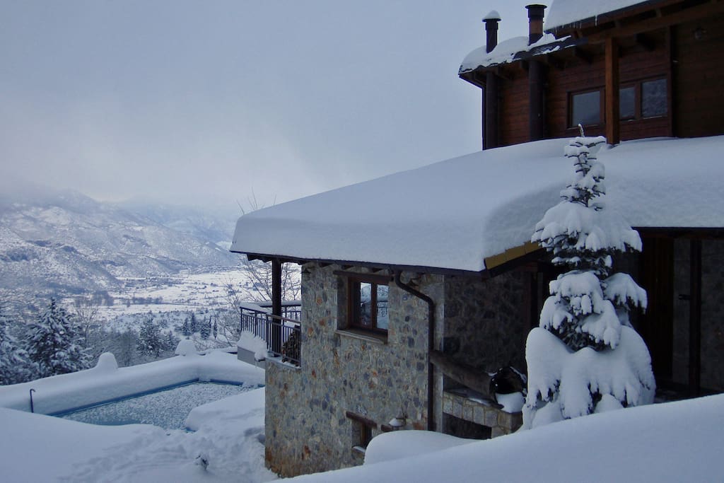 winter beauty