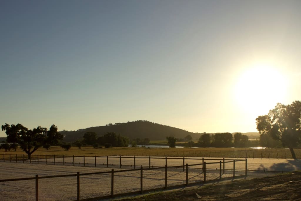 Local - Picadeiro