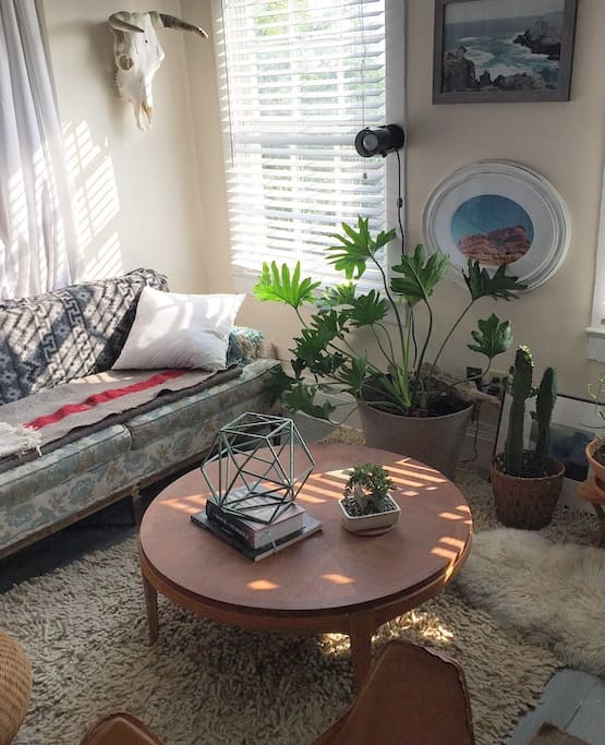 bright light and plants!