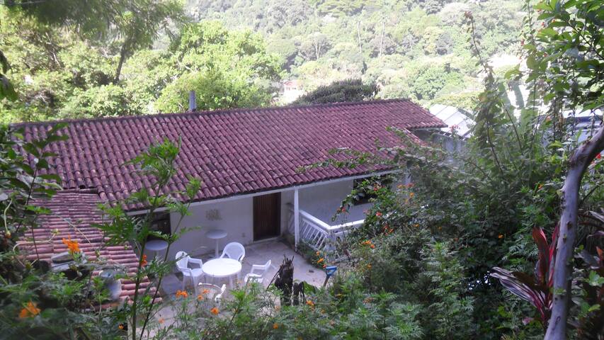 Enjoy Rio’s tropical forest at hand gallery image 3