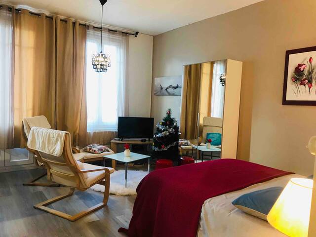 CONFORT Studio  avec BALCON à 20m de la PLAGE