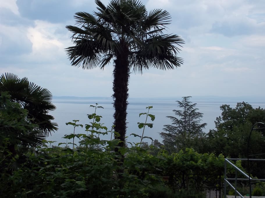 Blick am Meer aus Garten