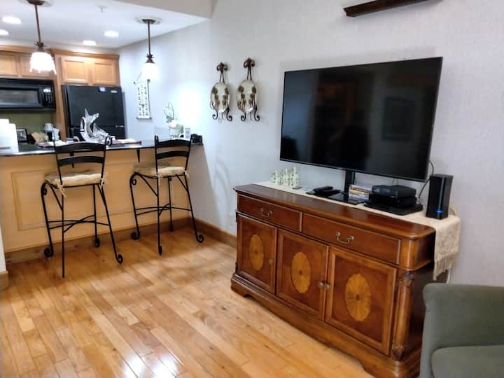 Innisbrook Condo 1st Floor Next To Island Course - Palm Harbor, FL