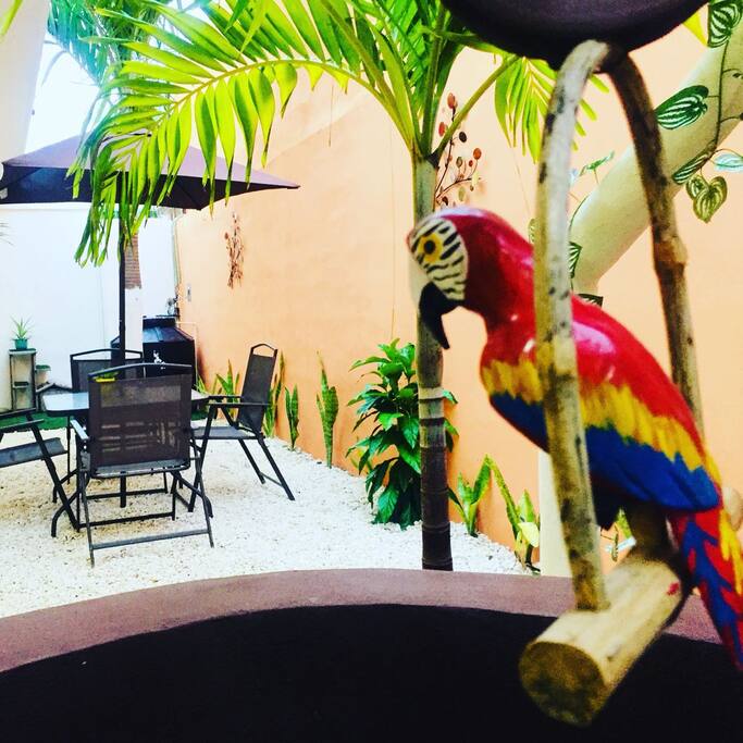 HASTA EL PERICO VIENE!!!