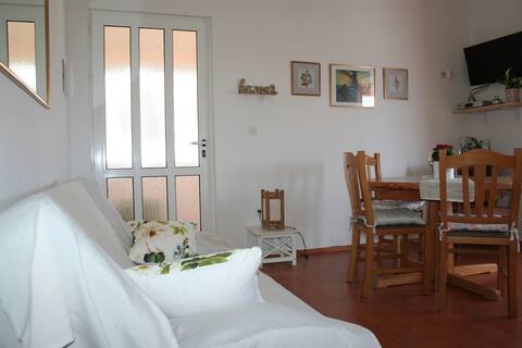 Successful Airbnb property: Yellow sea view apartment in Molat