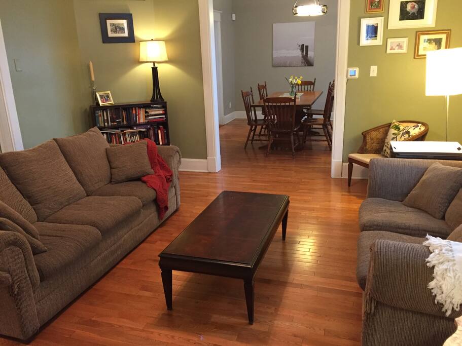 Comfy living room. The couch on the left sleeps one (not a sleeper couch, very soft and cozy!)