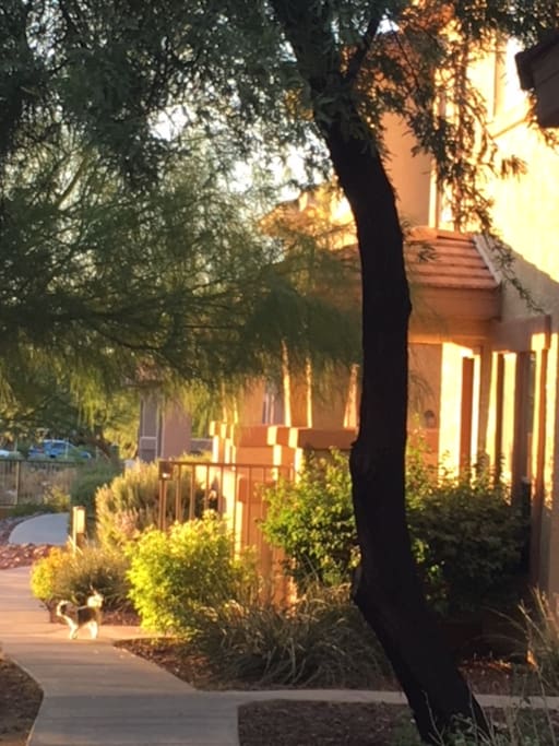 Arizona Getaway
