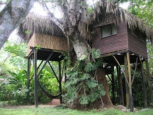 A unique treehouse is situated among lush greenery, supported by tall wooden stilts. A hammock can be seen hanging beneath it, while the structure features natural materials with a thatched roof and large windows framed by the surrounding foliage.