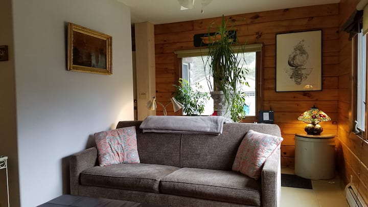 ห้องนั่งเล่นพร้อมเตียงขนาดควีนไซส์