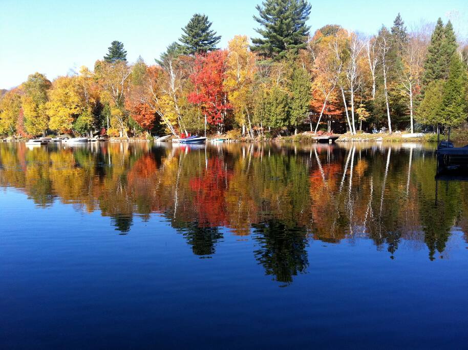 Autumn view