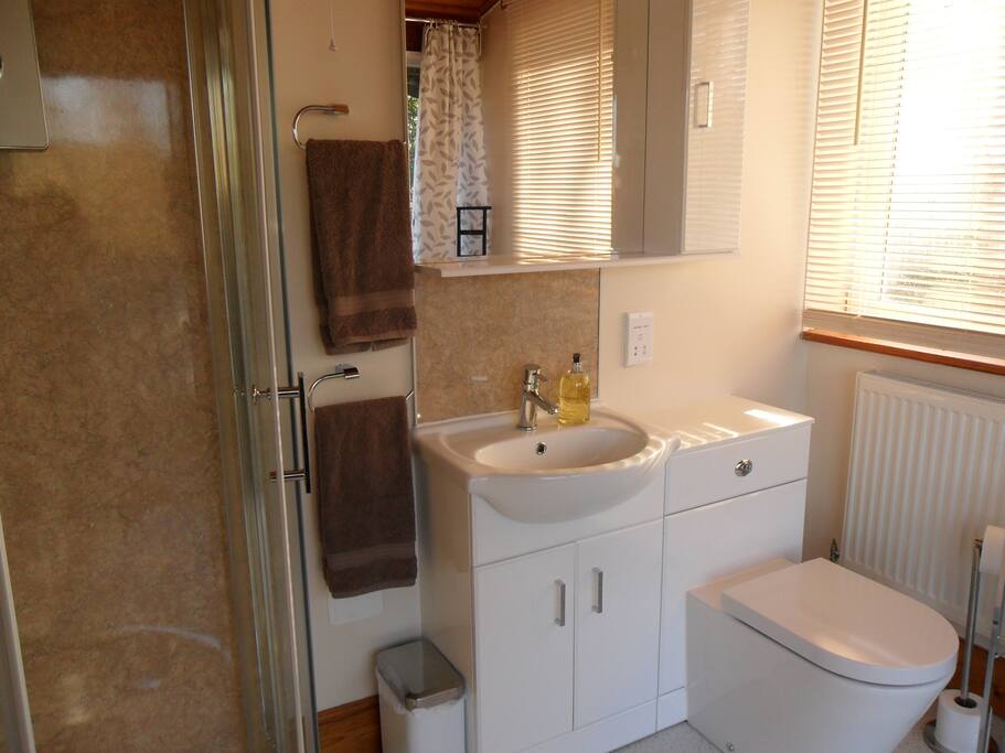 Shower room