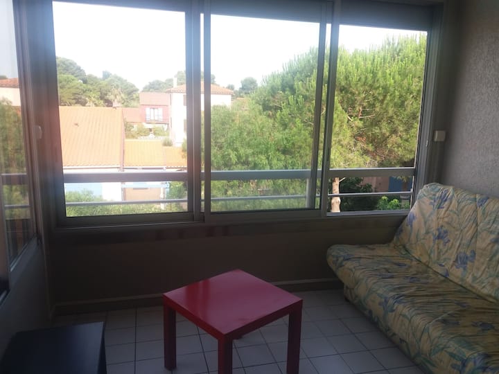 Appart 37 M2 Dans Résidence. Piscine  Plage 300 M - Canet-en-Roussillon