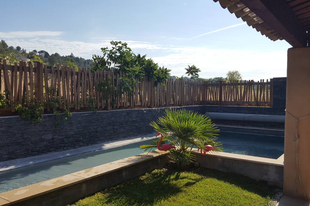La piscine aux flamants roses