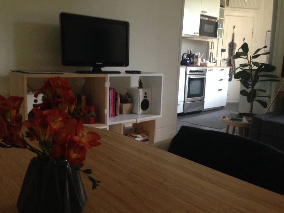 View from dining table