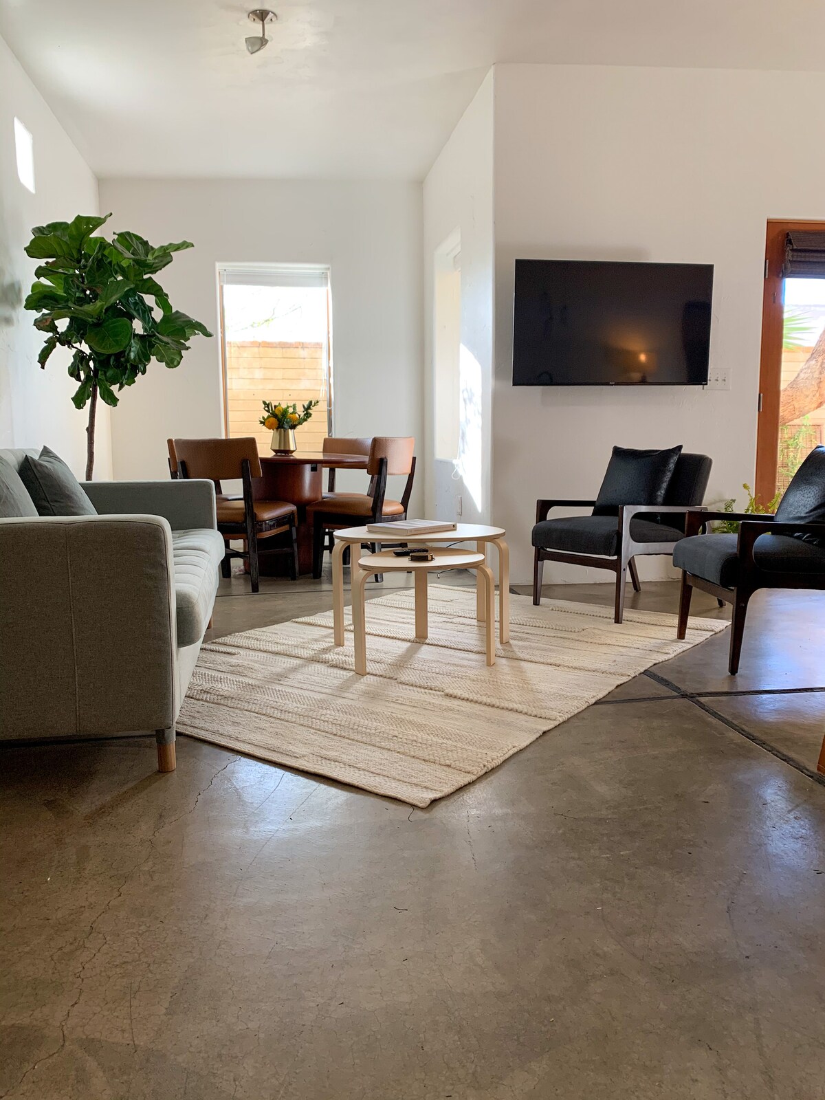 The living area features a cozy seating arrangement with a light gray sofa and two dark chairs surrounding a small table. A decorative plant stands in the corner, and a television is mounted on the wall. Natural light fills the space through the windows.