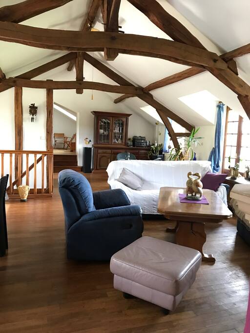 Pièce à vivre le cœur de la maison avec poutres apparentes et insert.
Salon, salle à manger, coin lecture et jeux pour enfants