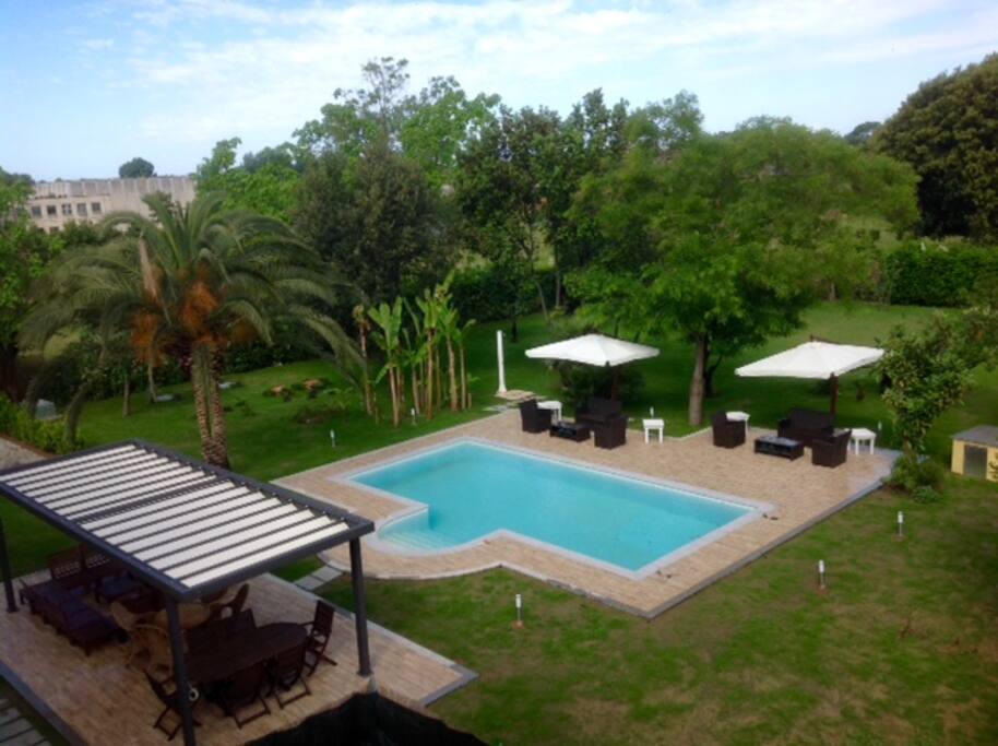 Overhead view of the pool and gardens.