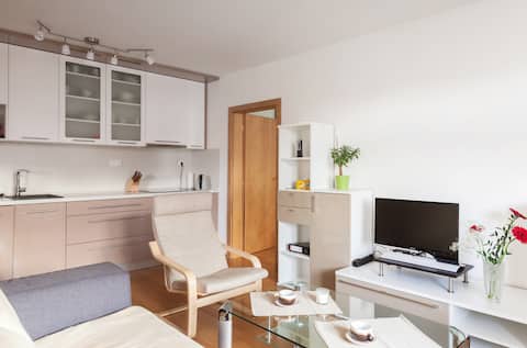 Top Airbnb: Air-conditioned apart. near centre in Praha 7