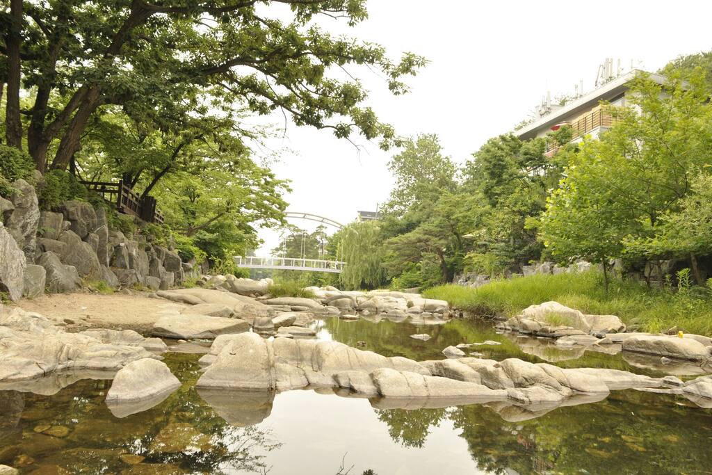 숙소앞 삼성천