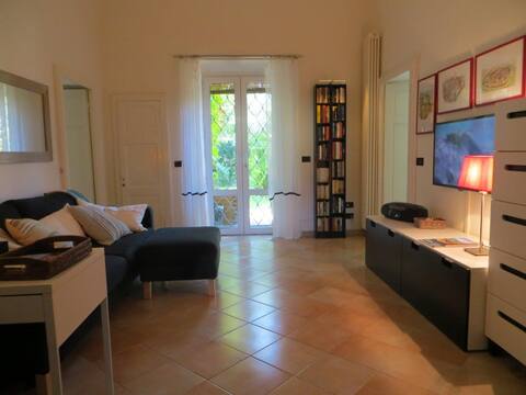 Popular Airbnb listing: Stylish apt a few steps from Tower in Pisa