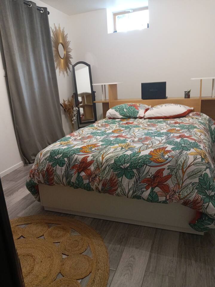 Comfortable and spacious apartment in the town center