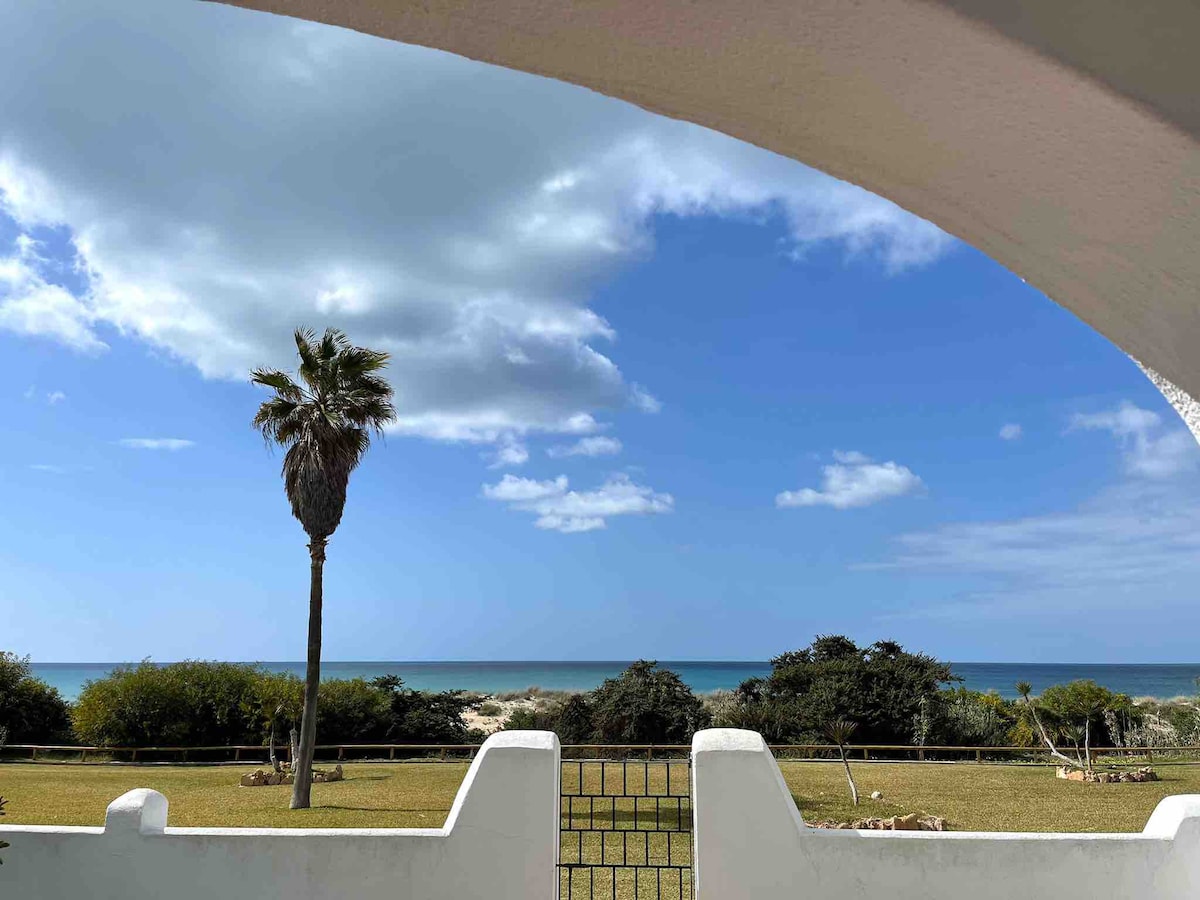 A view from the terrace captures the ocean and sky through an elegant archway. A lone palm tree stands tall against the backdrop of a blue sky scattered with clouds. Lush greenery is visible in the foreground, enhancing the natural scenery.