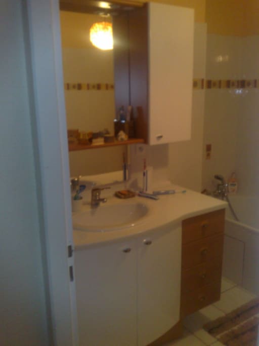 Private bathroom , shower and bath 180 cm