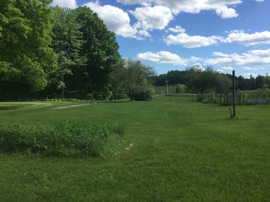Front yard
