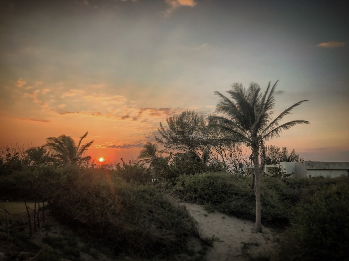 A serene sunset is captured over a coastal landscape, with soft orange and pink hues filling the sky. Silhouetted palm trees frame the scene, and lush greenery is visible in the foreground, contributing to a peaceful natural setting.