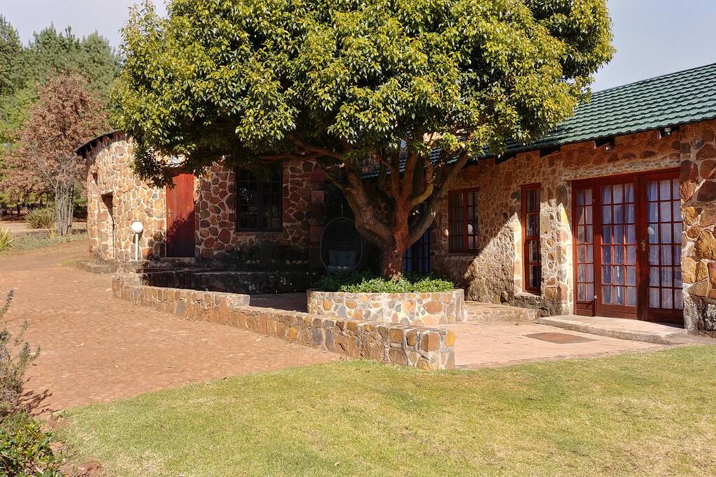 View of garden
