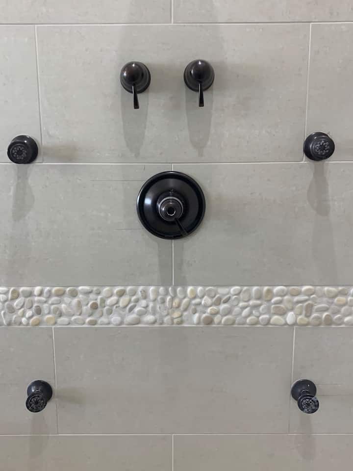 Owners suite shower controls