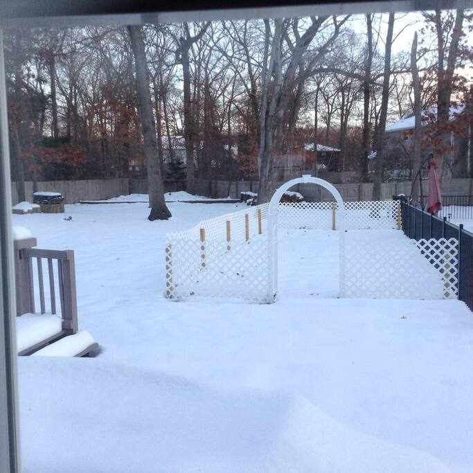 Backyard in winter after a snow day