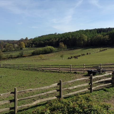 Self contained annexe on the Ashdown Forest