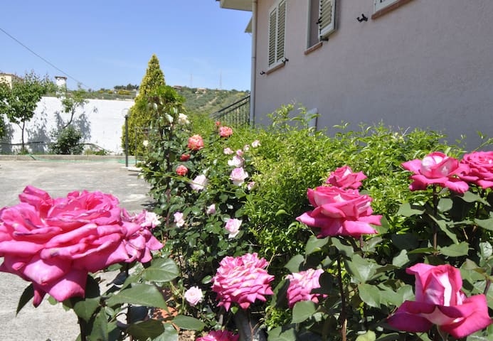 SICILY: detachedhouse into the wild