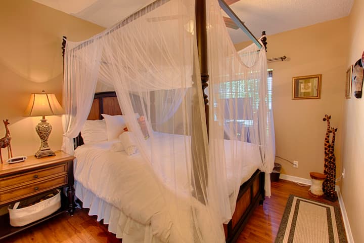 Disney Animal Kingdom inspired Safari room 