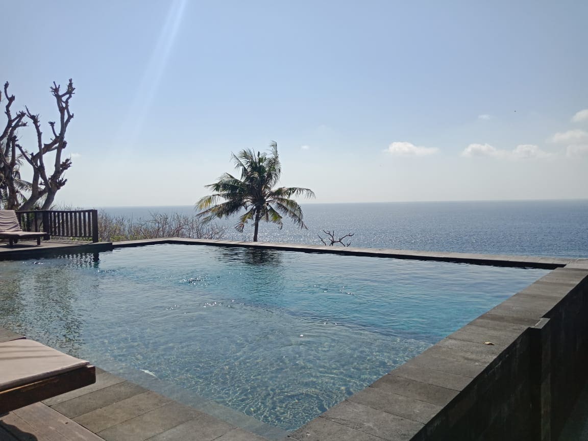 An infinity swimming pool overlooks the sea, with calm waters reflecting the clear blue sky. Palm trees are visible in the distance, adding a tropical touch. Sun loungers line the pool's edge, offering a place to relax and enjoy the tranquil scenery.