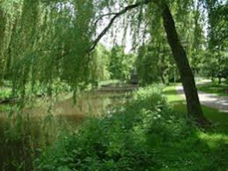 Room is opposite walking path and park and next to Dommel river.