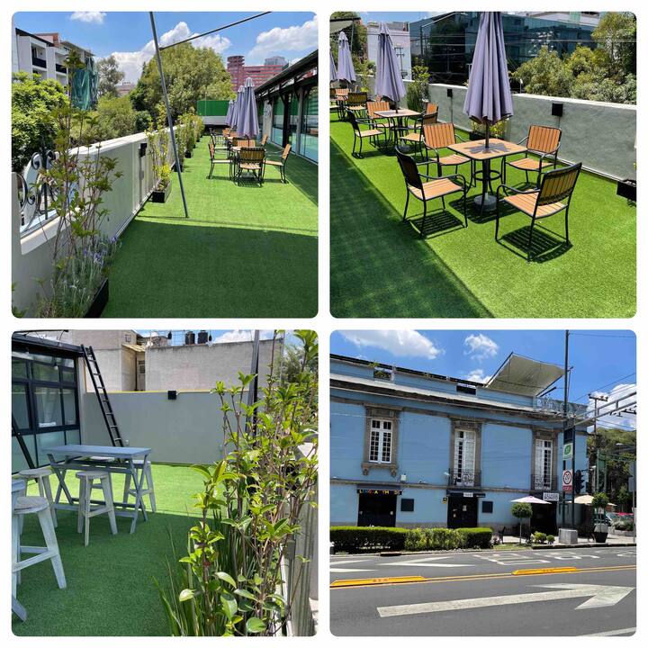 Mexico City Apartment Rentals Apartment and House Rentals Airbnb